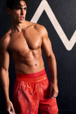 Borg Shorts 6 Inch