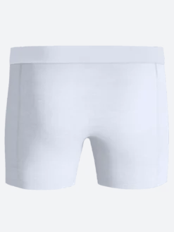 Organic Cotton Stretch Boxers 2-pack